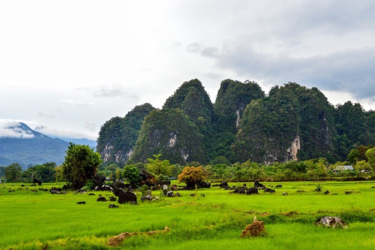 https://rentonesia-files.s3.ap-southeast-1.amazonaws.com/attachment/202205/30-odnl18--picture_34_.jpeg