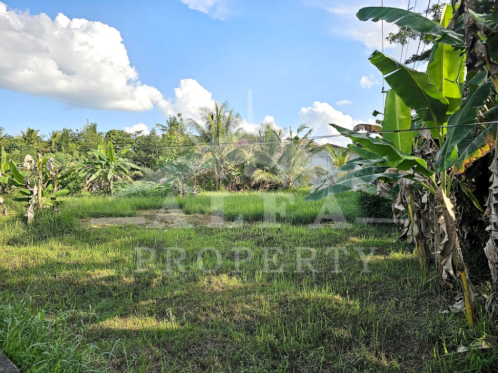 https://rentonesia-files.s3.ap-southeast-1.amazonaws.com/tinggal-production/attachment/202607/01-iur4ha--03.jpg